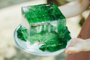夏季限定《天然氷のかき氷屋》が営業再開します！